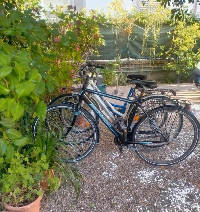 Just Outside The Wall: Free A/C, Bikes And Wifi Lucca Exteriör bild